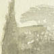8 - Villa Gamberaia  —  Temporale a Settignano II, 2010, cm. 32x42